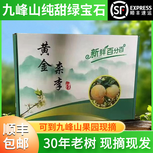 [高端礼盒装]纯甜广东乐昌九峰山绿宝石翡翠奈李黄金油奈新鲜水果