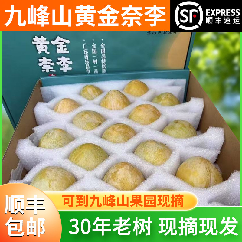正宗广东粤北乐昌九峰山新鲜水果黄金奈李送礼现摘高端礼盒 5斤装