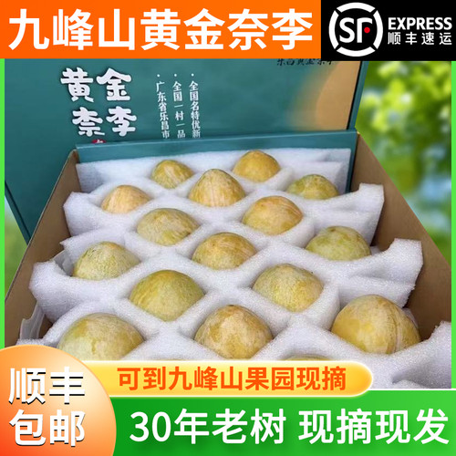 正宗广东粤北乐昌九峰山新鲜水果黄金奈李送礼现摘高端礼盒 5斤装