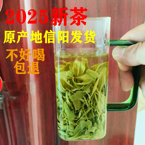 信阳毛尖茶叶绿茶雨后茶2025新茶
