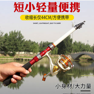 软尾小矶竿鲫鱼竿超轻短节钓鱼竿海杆抛竿套装阀杆桥筏竿矶钓竿