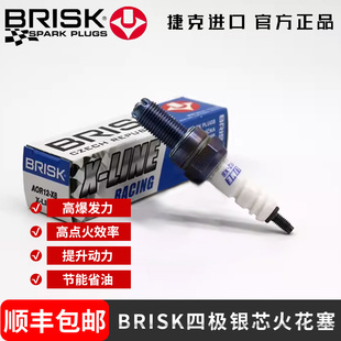 BRISK摩托车火花塞适用无极300R/RR/DS 525R AC525 650DS SR250GT