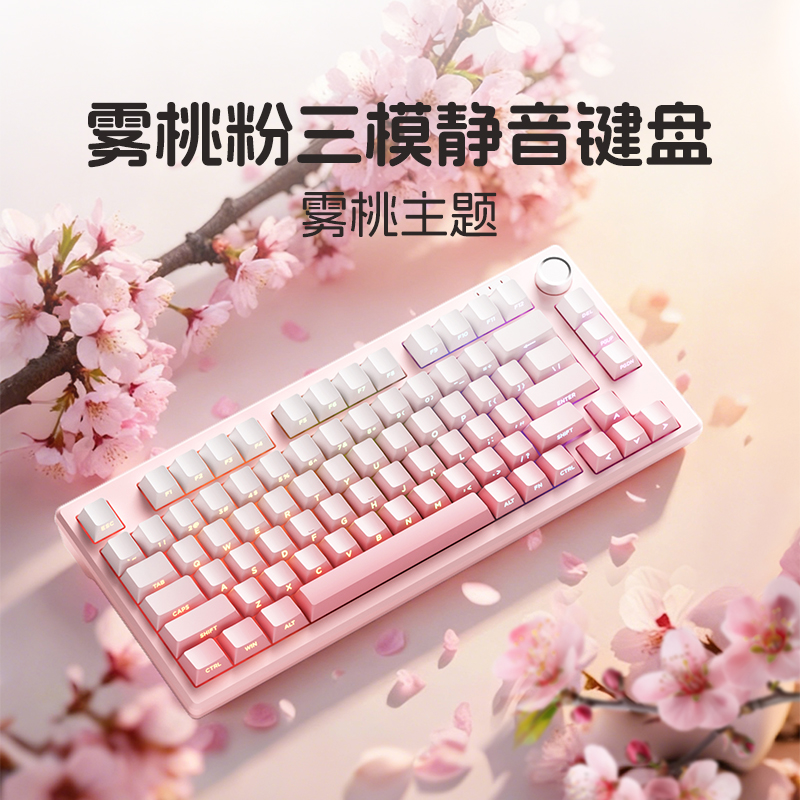 梦族Z75PRO小型静音有线键盘高颜值侧刻笔记本外接三模办公专用女