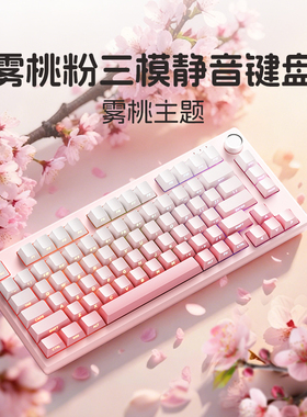 梦族Z75PRO小型静音有线键盘高颜值侧刻笔记本外接三模办公专用女