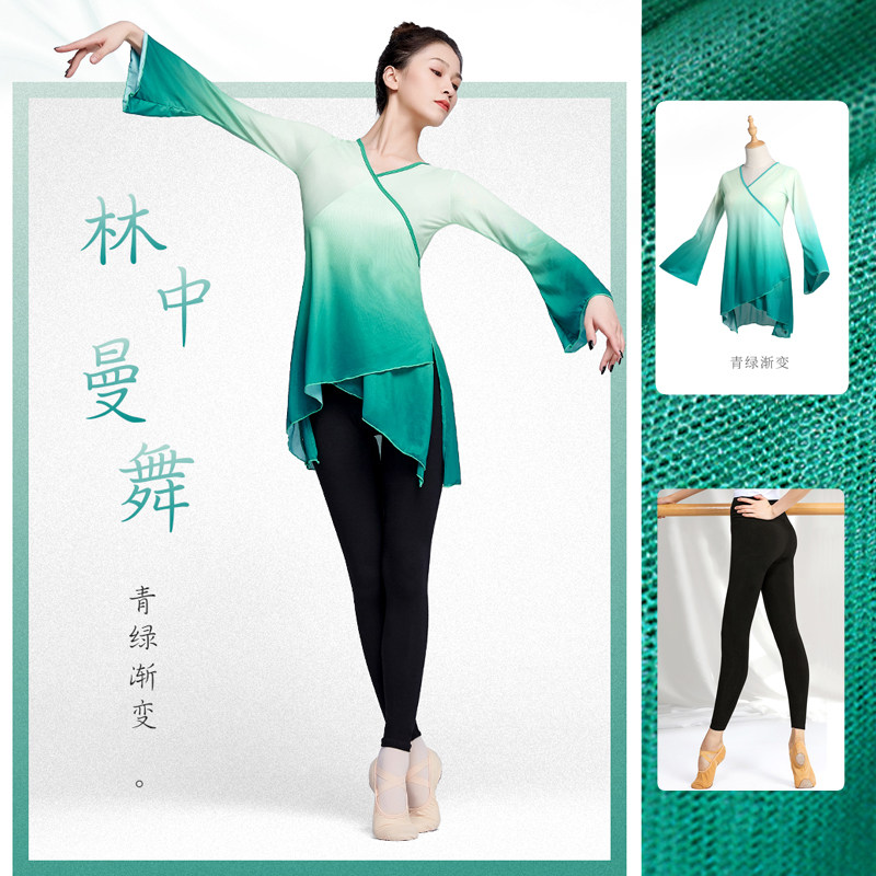 舞蹈青莲演出服古典舞女成人形体练功服基训飘逸纱衣民族中国舞夏