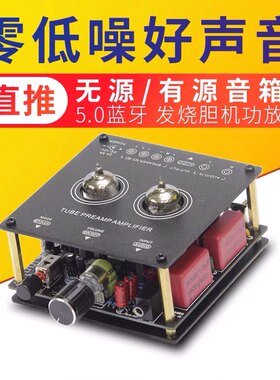 特价5.0蓝牙数字小功放发烧hifi胆机桌面房间电子管胆前级人声
