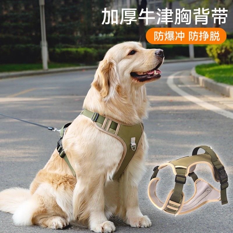 防爆冲工字形胸背带背心式图片