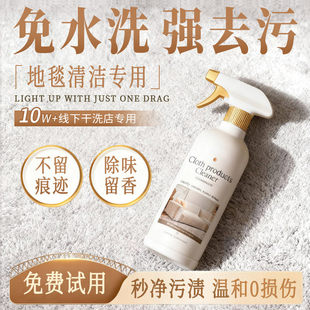 地毯清洁神器免水洗专用清理毛毯刷子干洗家用地垫去污渍清洗剂V