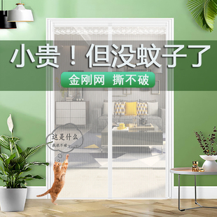 防蚊门帘2023新款 夏季 楼房静音别墅网纱门口网帘纱窗网防虫蚊帐