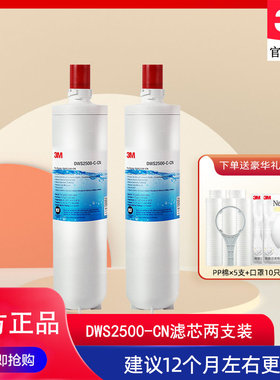 3M净水器滤芯 净享2500滤芯两支装 家用直饮DWS2500-CN耗材配件