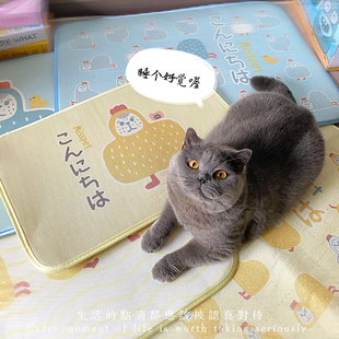 清仓 宠物猫咪冰垫吸热狗狗冰垫夏天降温垫凉席垫狗垫子睡觉夏季