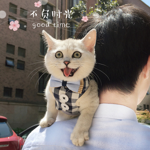 链子幼猫狗通用 猫咪牵引绳猫绳子遛猫绳胸背带防挣脱栓猫绳背心式