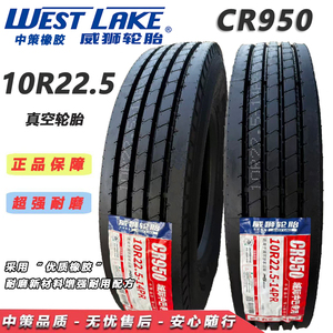 威狮10R22.5高耐磨全钢丝卡客车