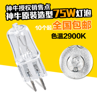 200 160 250W闪光灯专用拍摄照型摄影灯 神牛75W造型灯泡150 正品