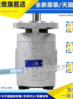 合肥长源液压齿轮泵 CBGZ2100-BLP 合肥长源液压股份有限公司