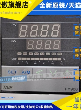 FY900-302110/202110/102110 FY900-102100/202100/302100 台仪