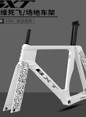 BXT195碳纤维死飞车架组700C固定齿轮场地竞速自行车车架涂鸦款