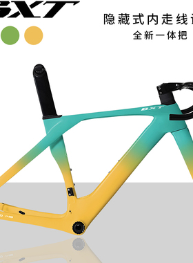 BXT Pro145 全碳纤维公路自行碟刹车架组T47螺纹五通带一体弯把