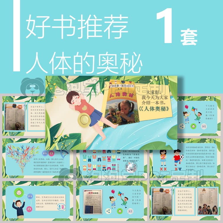【b-032】好书推荐人体的奥秘性别的秘密生物科普男孩女孩ppt课件