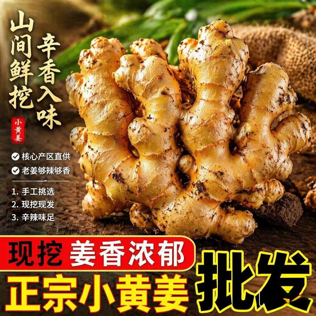 云南正宗小黄姜老姜9斤新鲜现挖罗平高山沙土月子红糖生姜批发价