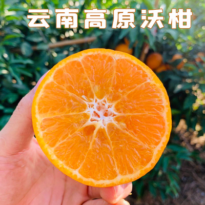 云南高山沃柑5斤新鲜水果橘子