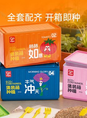 办公室桌面小盆栽亲子互动