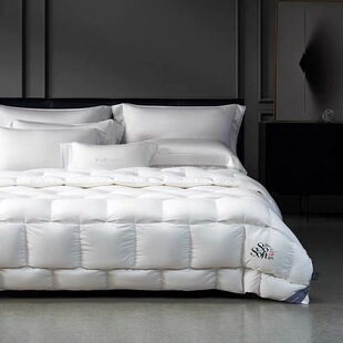 MINE/寐2025新品长绒棉95%格陵兰白鹅绒天丝羽绒被 无垠 专柜同款
