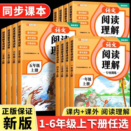 小学生阅读理解专项训练书