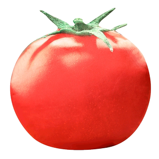 仿真茄子道具黄瓜模型毛绒玩具蔬菜抱枕土豆南瓜大白菜玉米食物