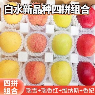 瑞雪瑞香红维纳斯黄金香妃苹果组合拼装 白水新品 12枚 四拼组合