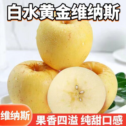 雀斑美人 黄金维纳斯苹果4-4.5斤尝鲜装
