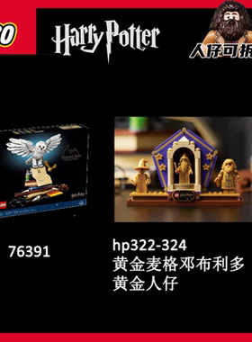 乐高哈利波特76391人仔海德薇哈利邓布利多麦格