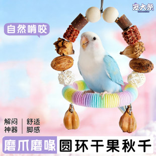 宠大条鹦鹉磨爪秋千圆环干果站台虎皮玄凤牡丹站架磨爪鸟秋千