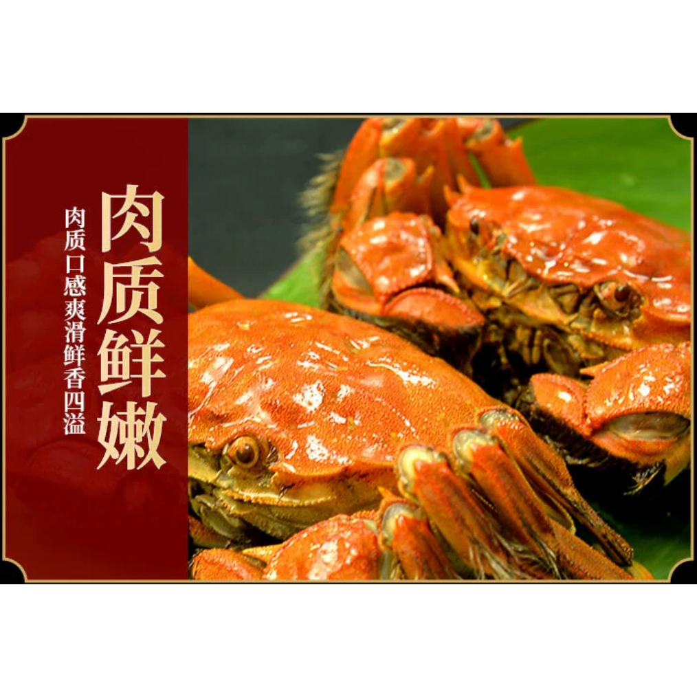 精品活蟹4公4母蟹礼盒装