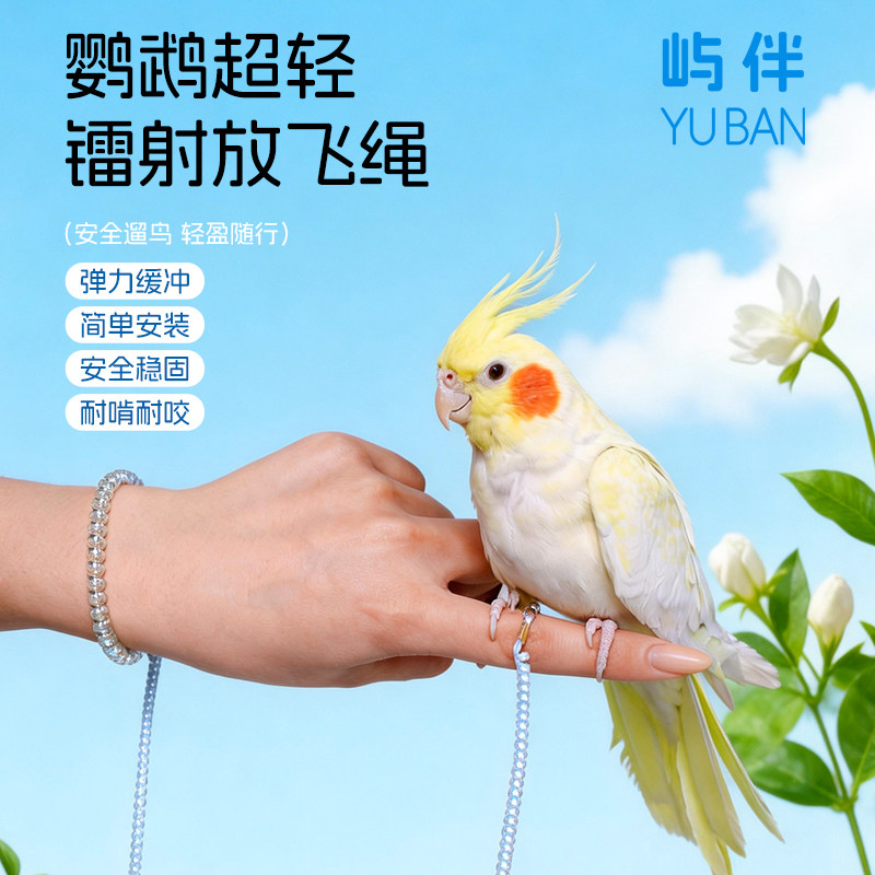 鹦鹉牵引绳遛鸟神器外出放飞训练不伤脚玄凤牡丹脚环脚链送食盒