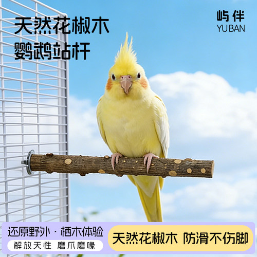 鹦鹉花椒木站杆磨爪棒小鸟八哥玄凤牡丹专用睡觉站架木棍用品大全