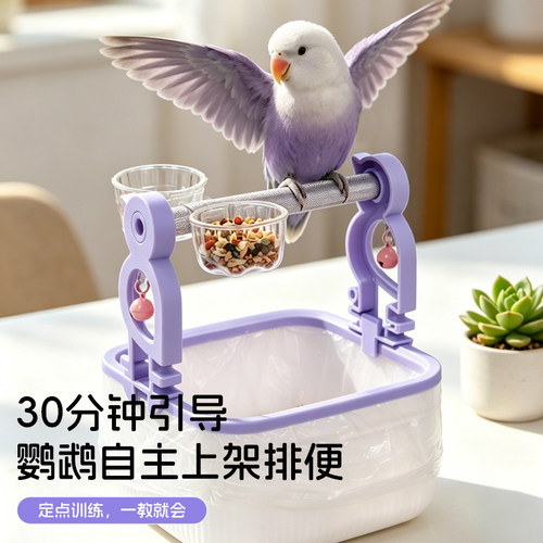 鹦鹉定点排便神器磨砂站杆