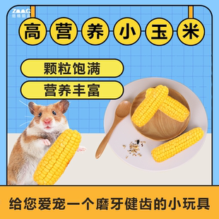 仓鼠磨牙棒小玉米零食金丝熊花枝鼠兔子营养粮食造景品可食用玩具
