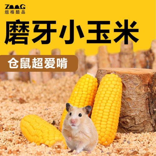 组格仓鼠磨牙小玉米营养丰富
