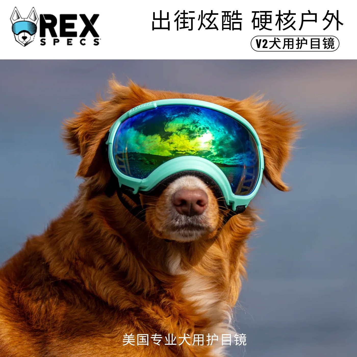 rexspecs狗狗滑雪墨镜rex护目镜