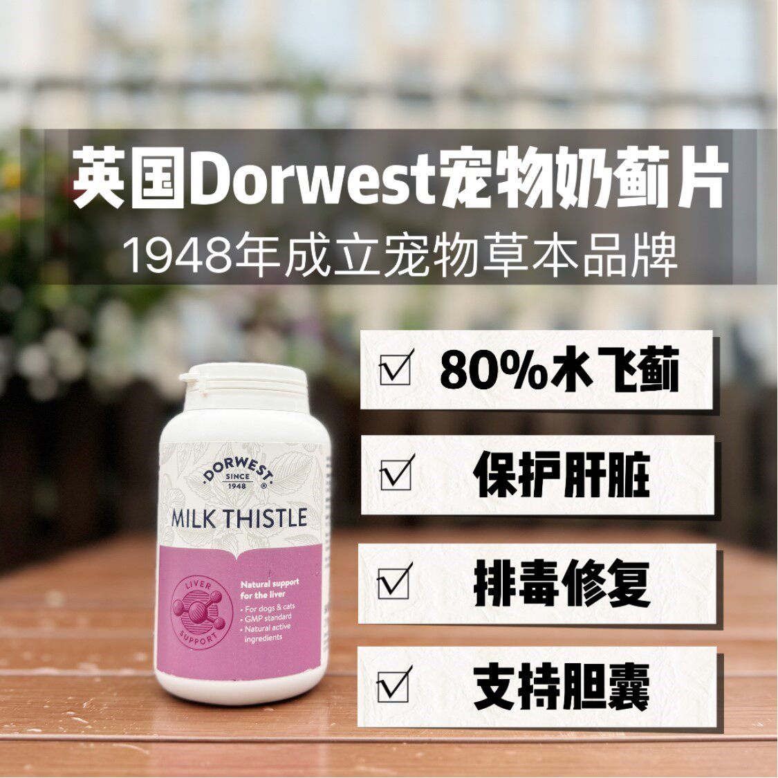 英国dorwest多维斯水飞蓟奶蓟宠