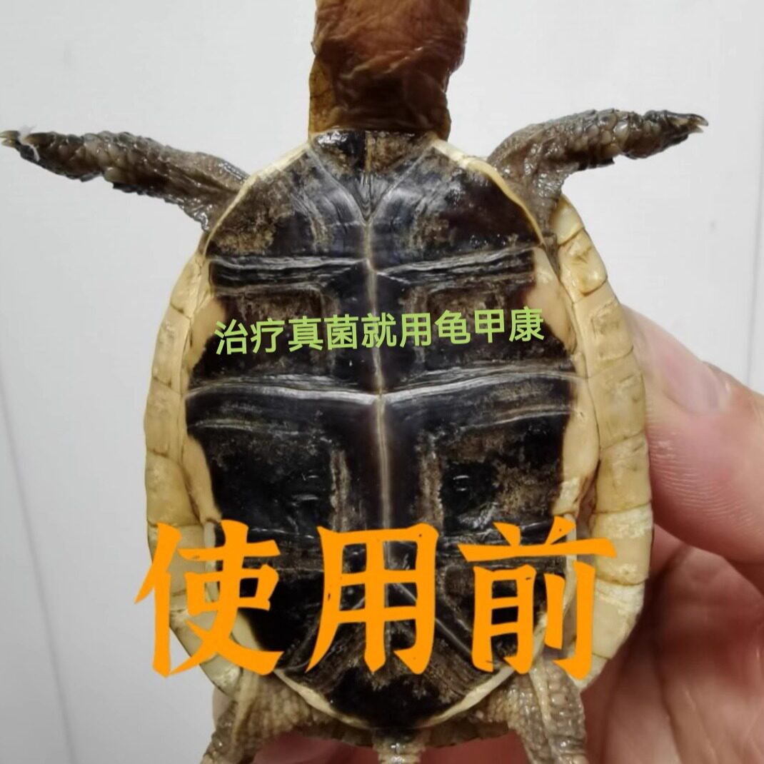 马克库推荐 安缘黄缘乌龟甲康 针对真菌龟壳发白包邮优质宠物用品