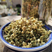 青刺果 青刺尖茶花草茶120g 青刺花苞茶花蕾