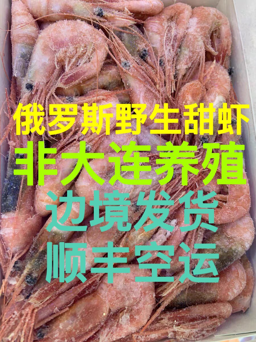 俄罗斯野生北极甜虾爬子刺身马加丹海藻头野生格陵兰(顺丰空运)