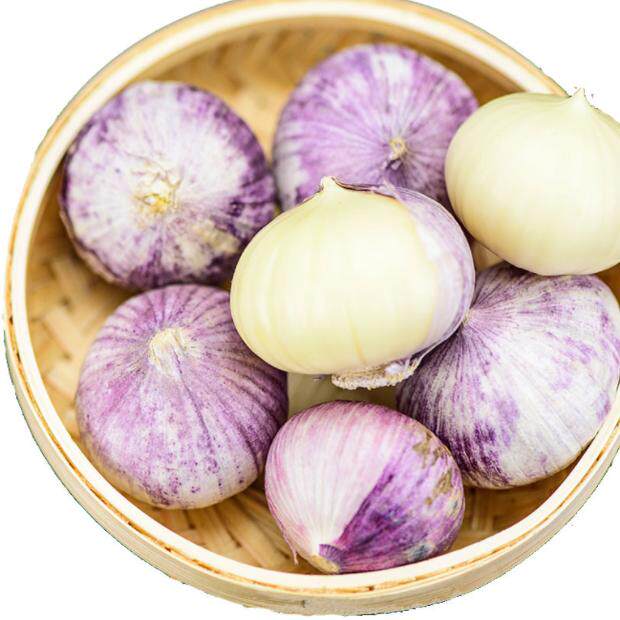 云南紫皮独蒜独蒜子250g仅限番禺市桥购买