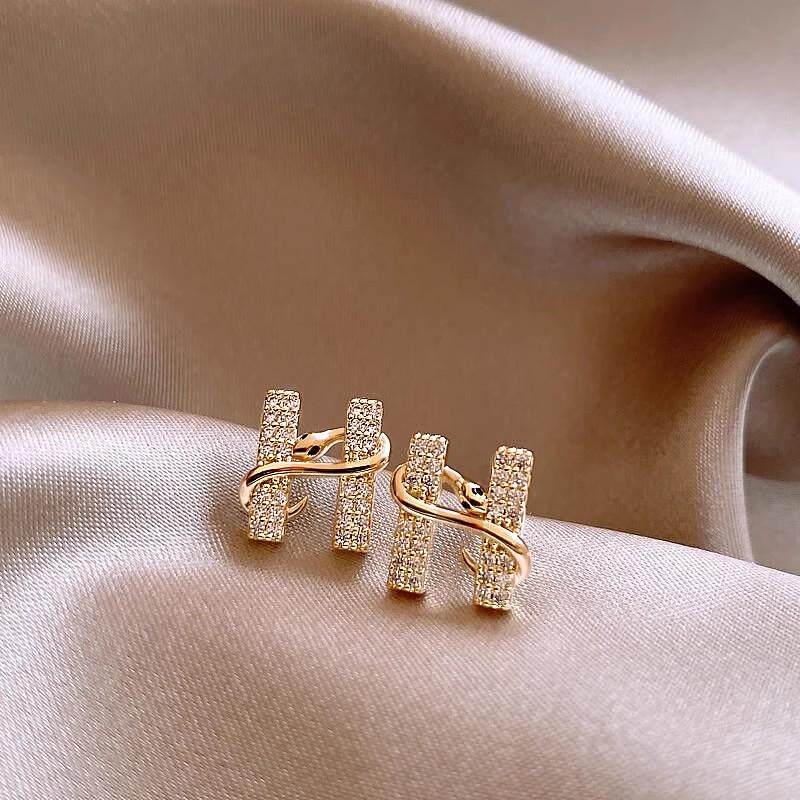 小蛇缠绕微镶字母H耳钉2024