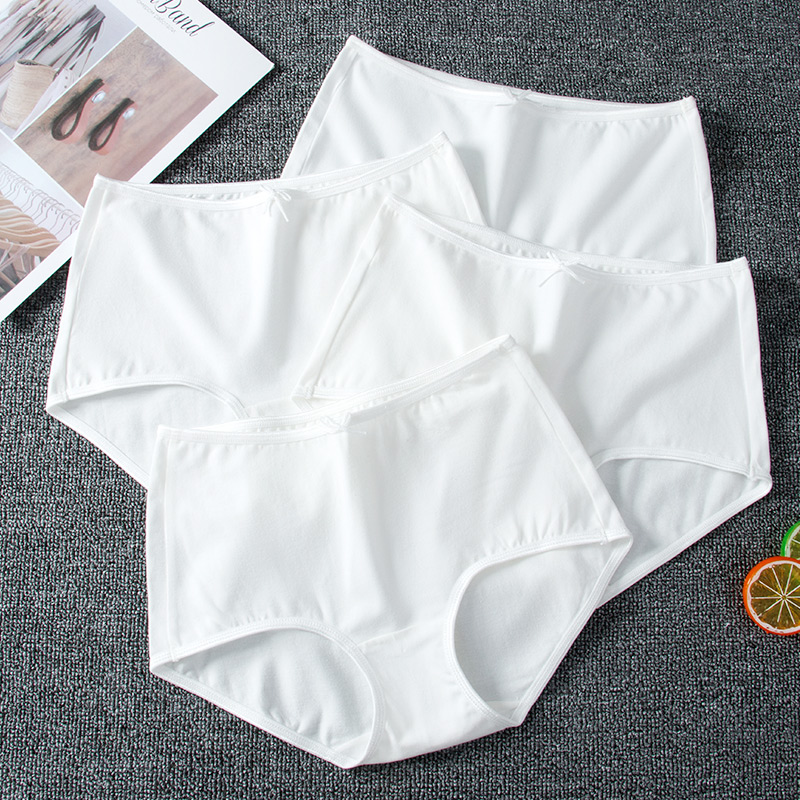 女纯棉内裤纯白色透气弹力棉短裤