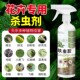 杀虫剂花卉植物室内通用喷雾花草蚜虫月季 害虫吡虫啉除虫药剂专用