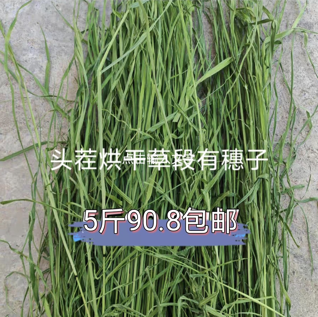 25年新草《福利烘干》头茬烘干草段磨牙健齿呵护肠胃兔子草