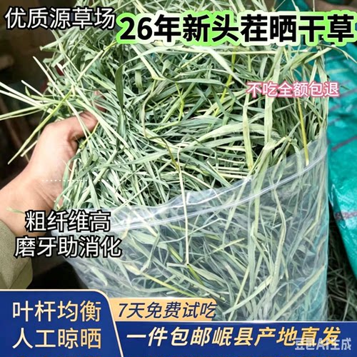 26年《新的头茬晒干草》提摩西干草兔子磨牙食用兔草兔粮牧草饲料